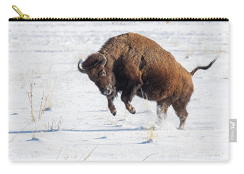 Bison Zip Pouch featuring the photograph Bucking Bison Cow by Tony Hake