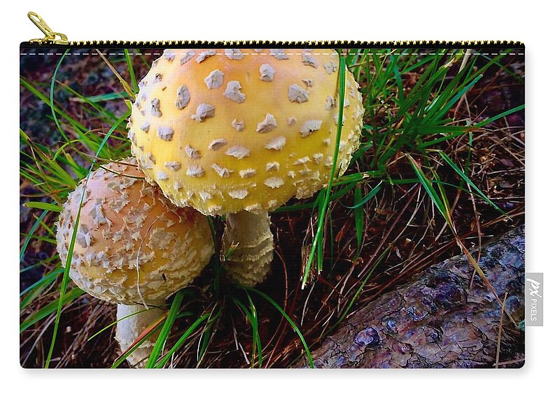 Pair Of Mushrooms In The Forest Zip Pouch featuring the photograph Buddies by Meta Gatschenberger