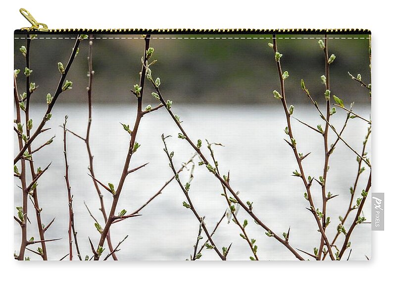 Leaves Zip Pouch featuring the photograph Budding Leaves by Amanda R Wright