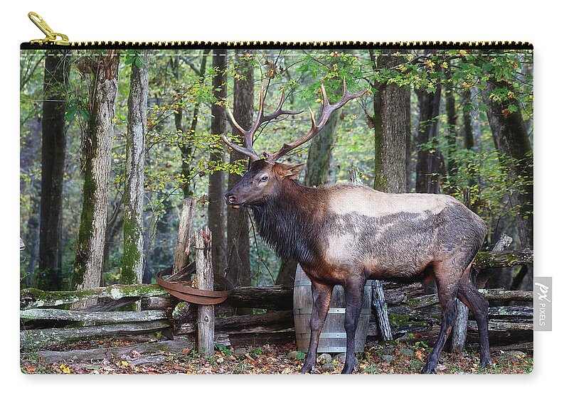 Elk Zip Pouch featuring the photograph Bull Elk on the Farm - Smoky Mountains by Susan Rissi Tregoning