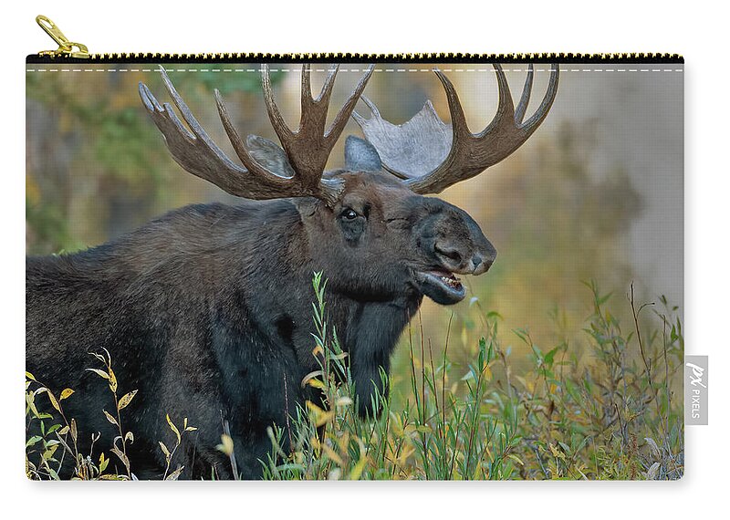 Bull Moose Calling Zip Pouch featuring the photograph Bull Moose Calling by Gary Langley