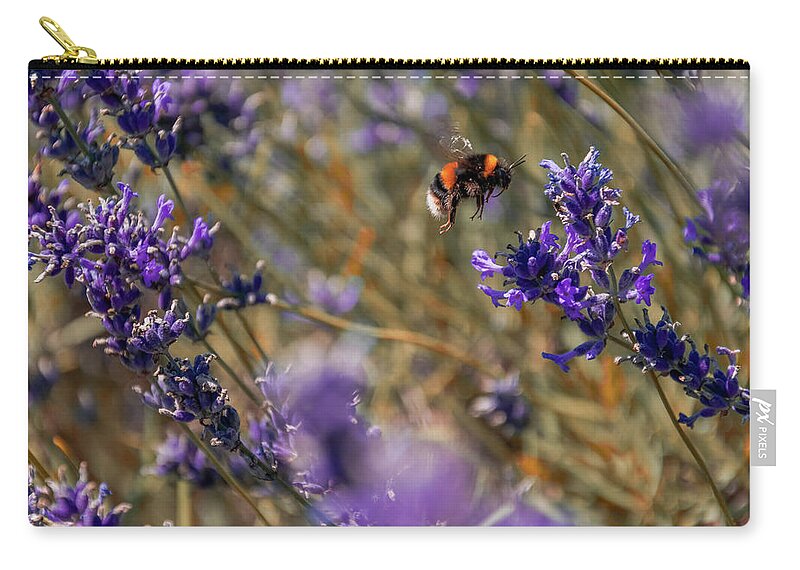  Zip Pouch featuring the photograph Bumble Bee Flying by Angela Carrion Photography
