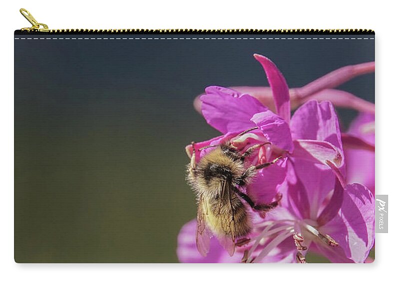 Bumble Bee Zip Pouch featuring the photograph Bumble bee on fireweed at Glacier NP by Nancy Gleason