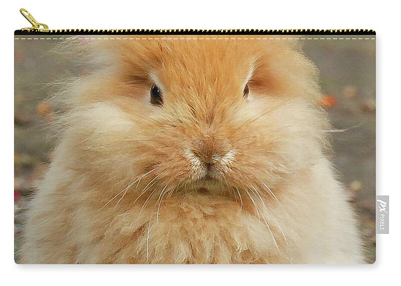 Bunny Hamburg Germany Carry-all Pouch featuring the photograph Bunny in Hamburg, Germany by David Morehead