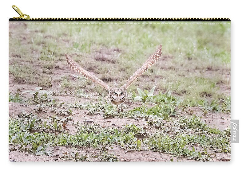 Owl Zip Pouch featuring the photograph Burrowing Owl Flies Head On by Tony Hake