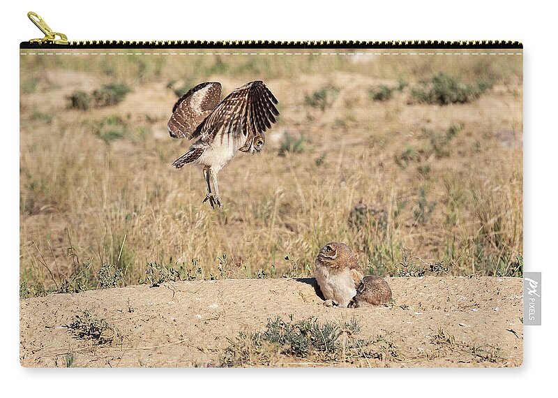 Owl Zip Pouch featuring the photograph Burrowing Owl Owlet Tests its Wings by Tony Hake