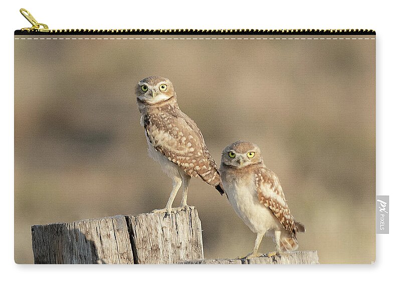 Bird Zip Pouch featuring the photograph Burrowing Owls in Northern Utah by Dennis Hammer