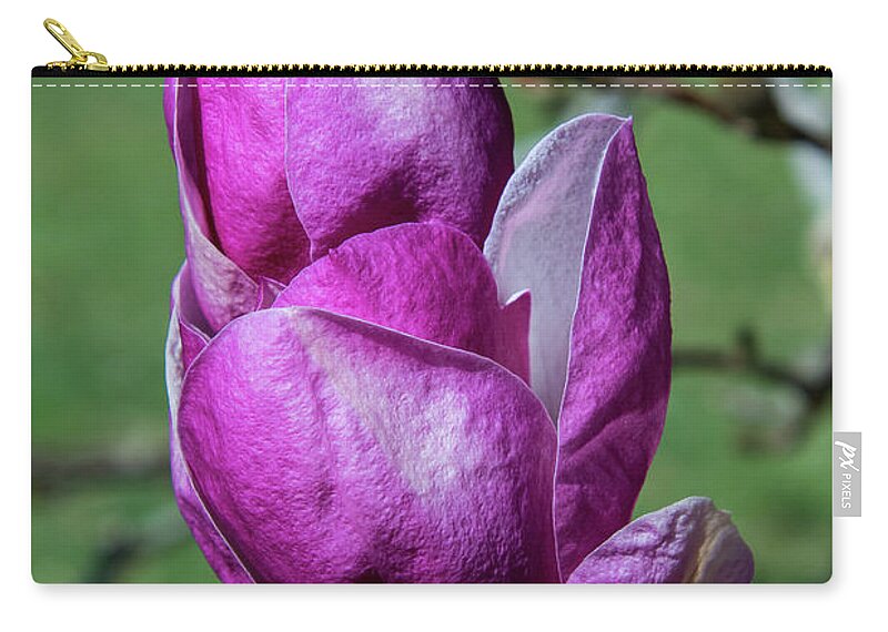 Magnolia Zip Pouch featuring the photograph Burst of Purple by Rose Guinther