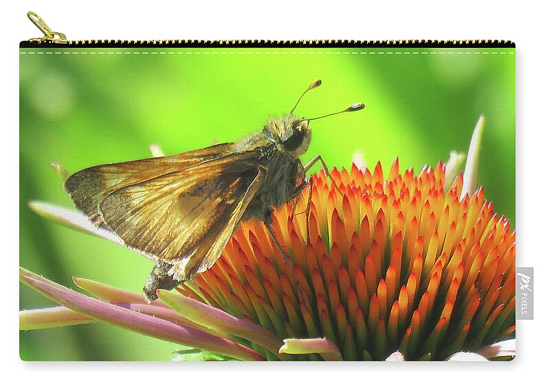 Flora & Wildlife Zip Pouch featuring the photograph Butterfly and Echinacea Blossom - Flower and Flying Insect - Flora and Wildlife - Macro Photography by Brooks Garten Hauschild