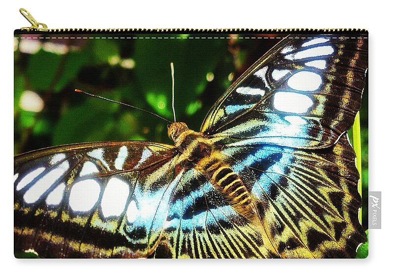 Butterfly Zip Pouch featuring the photograph Butterfly by Faa shie