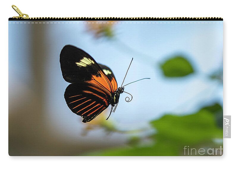 Butterfly Zip Pouch featuring the photograph Butterfly in Flight by Cathy Donohoue