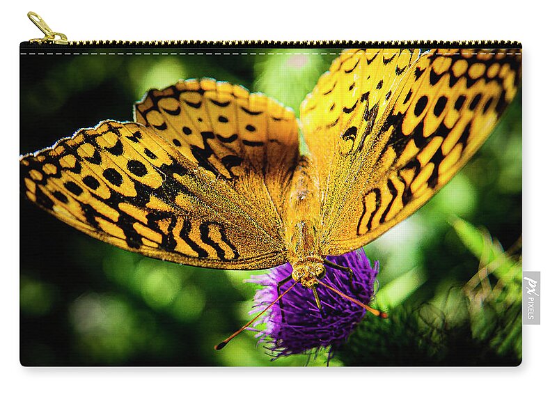 Butterfly Woods Gold Yellow Purple Zip Pouch featuring the photograph Butterfly in the Woods by David Morehead