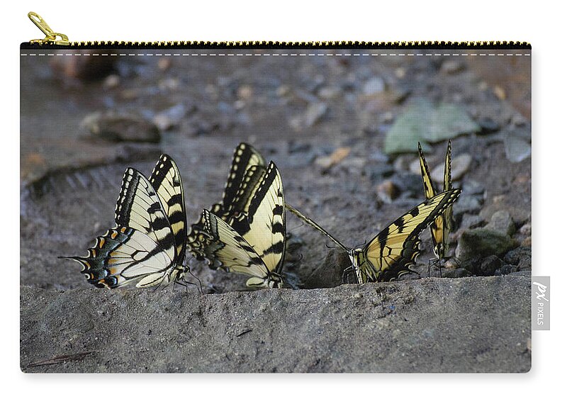 Butterflies Zip Pouch featuring the photograph Butterfly Nation Swallowtail Butterflies II by Demetrai Johnson