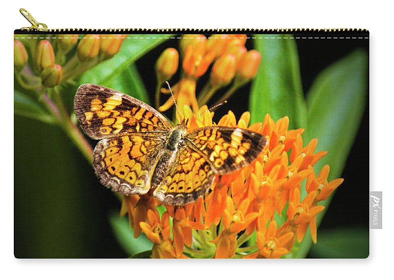 Butterfly On Flower Zip Pouch featuring the photograph Butterfly on Flower by Christina Rollo