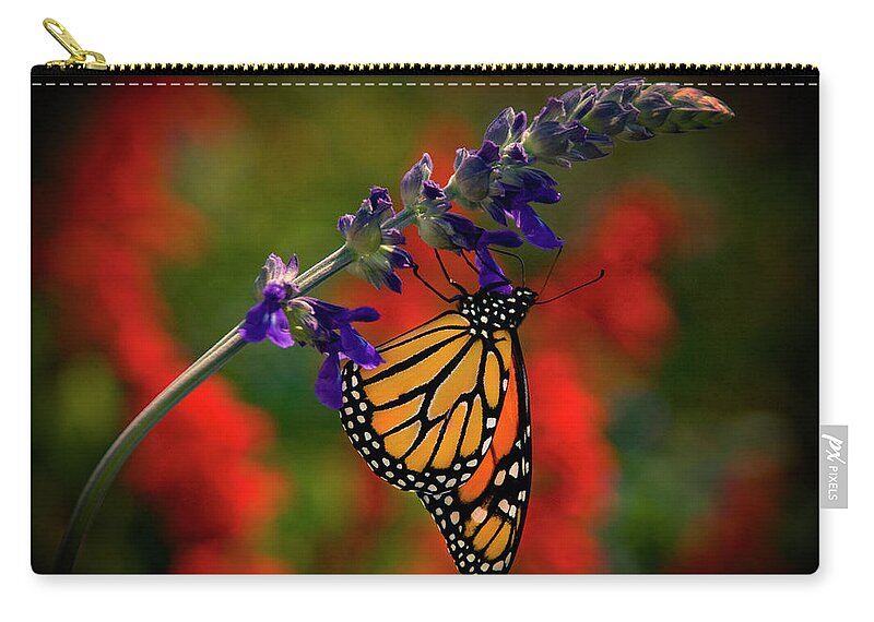 Butterfly Zip Pouch featuring the photograph Butterfly on Purple Flower by Carolyn Hutchins