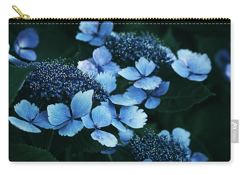Butterfly Valley Zip Pouch featuring the photograph Butterfly Valley by Yuka Kato