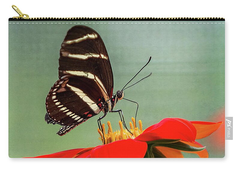 Butterfly Zip Pouch featuring the photograph Butterfly Zebra Longwing on Zinnia by Patti Deters