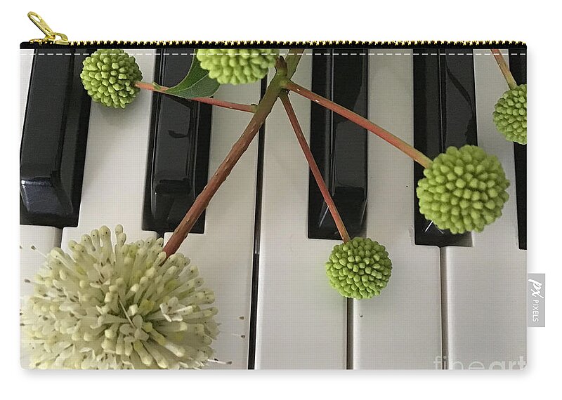 Buttonbush Zip Pouch featuring the photograph Buttonbush on Keyboard by Catherine Wilson