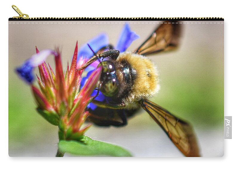Photo Zip Pouch featuring the photograph Buzz Buzz by Evan Foster