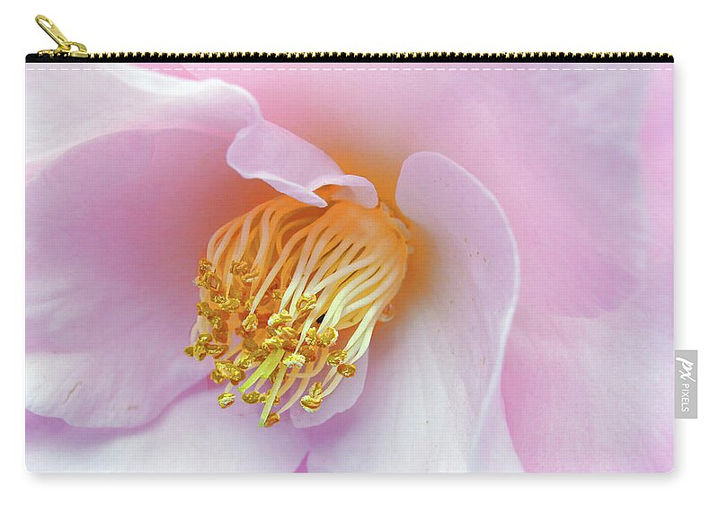 Rose Zip Pouch featuring the photograph Camellia Rose by Jessica Jenney