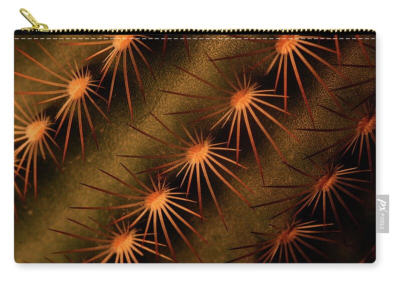 Art Zip Pouch featuring the photograph Cactus 9521 by Julie Powell