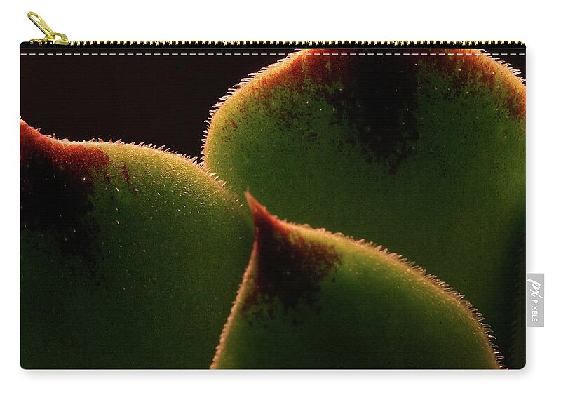 Macro Zip Pouch featuring the photograph Cactus 9609 by Julie Powell