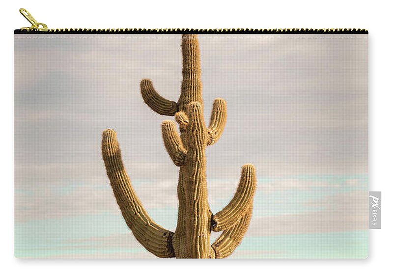 Landscape Zip Pouch featuring the photograph Cactus Bright by Go and Flow Photos