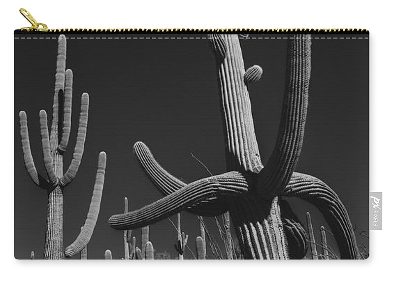 Cactus Zip Pouch featuring the photograph Cactus Forest by Seth Betterly