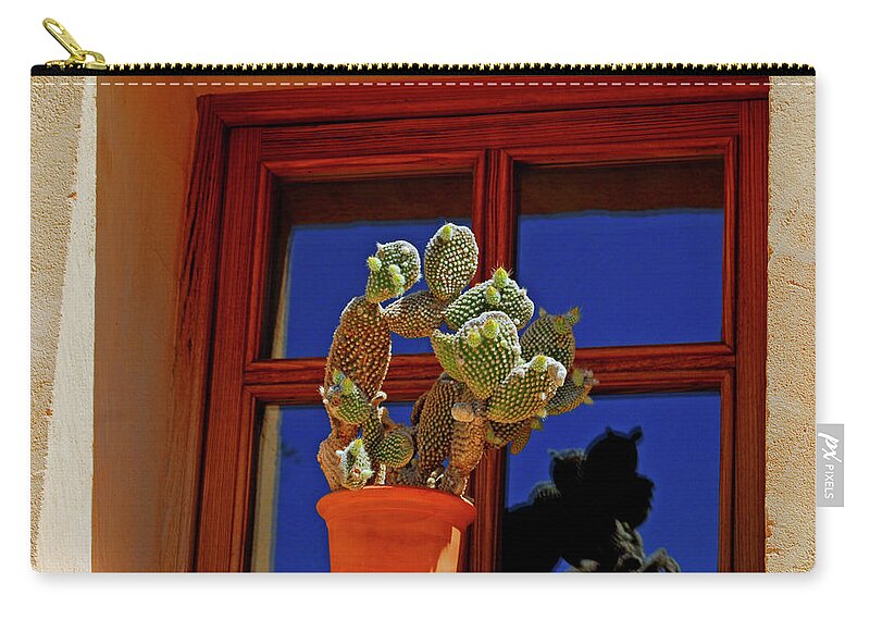 Cactus Zip Pouch featuring the photograph Cactus by Severija Kirilovaite