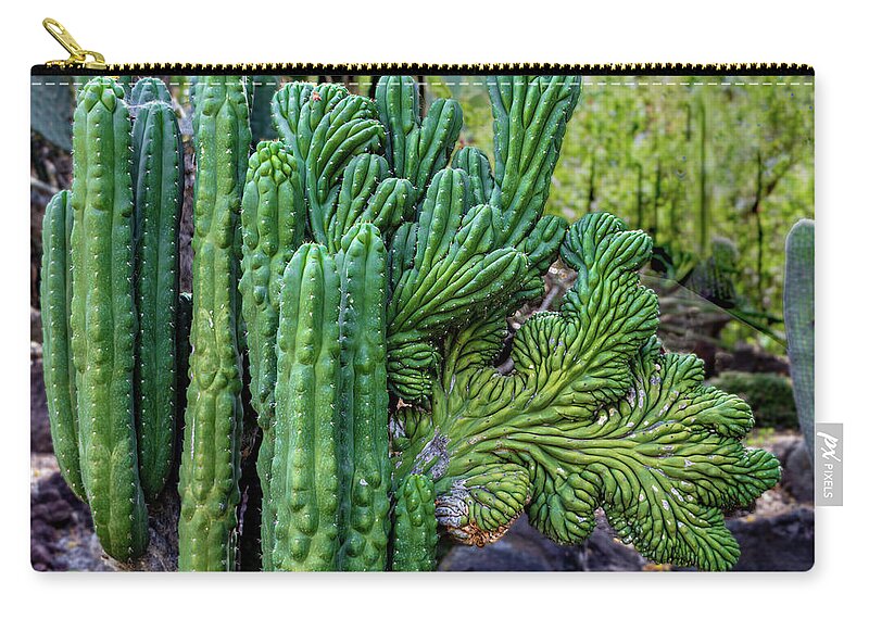 Cactus Zip Pouch featuring the photograph Cactus Waving at You by Roslyn Wilkins