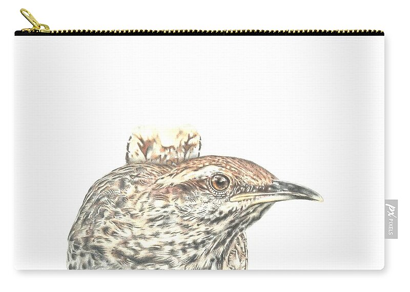 Cactus Wren Carry-all Pouch featuring the drawing Cactus Wren by Karrie J Butler