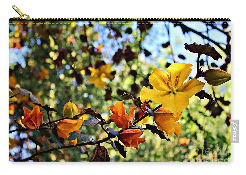 California Flannelbush Zip Pouch featuring the photograph California Flannelbush in Bloom by Martha Sherman