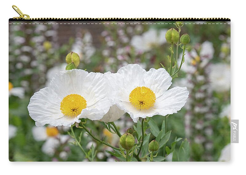Californian Tree Poppy Zip Pouch featuring the photograph Californian Tree Poppy in Flower by Tim Gainey