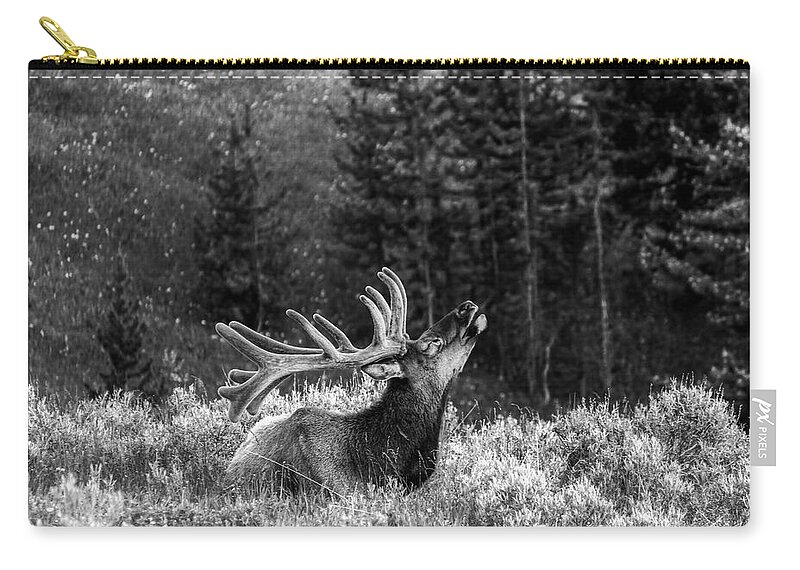 Bull Elk Zip Pouch featuring the photograph Call Of The Wild #1 by Mountain Dreams