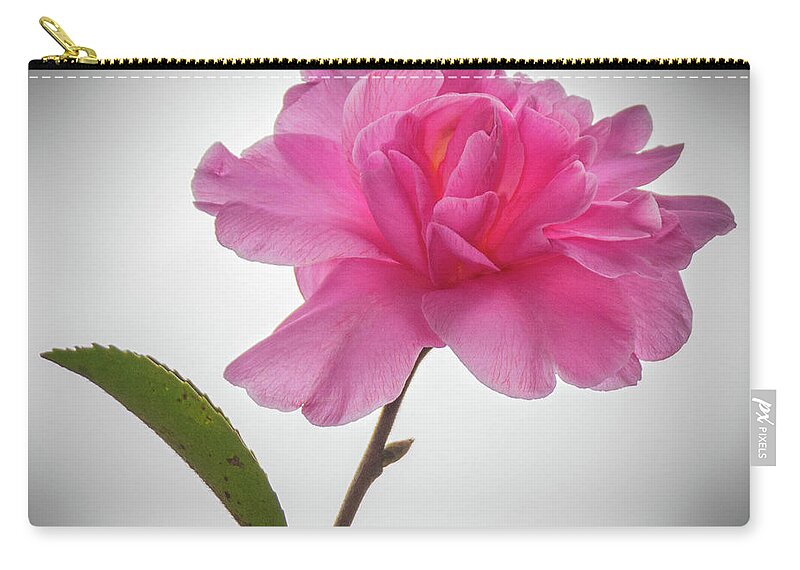 Flower Zip Pouch featuring the photograph Camellia 3 by Barry Bohn