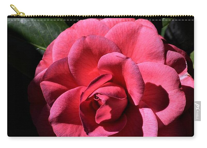 Camellia Shadows Zip Pouch featuring the photograph Camellia Shadows by Warren Thompson