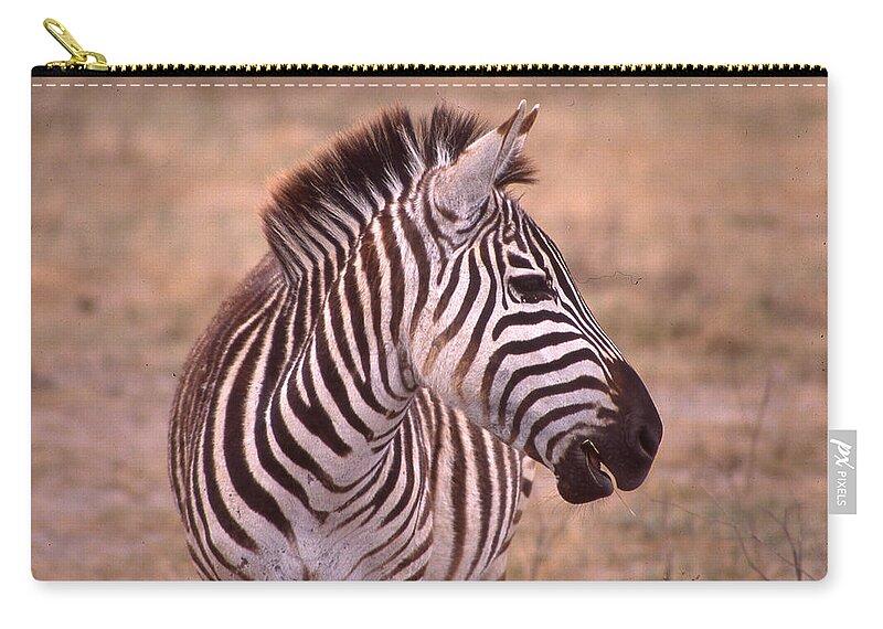 Africa Carry-all Pouch featuring the photograph Camera Shy Zebra by Russ Considine