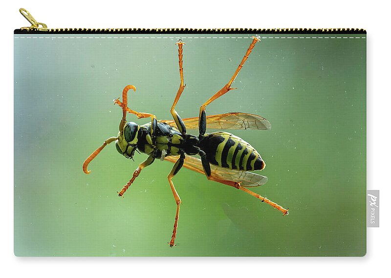 Bee Carry-all Pouch featuring the photograph Can I Come In by Cathy Kovarik