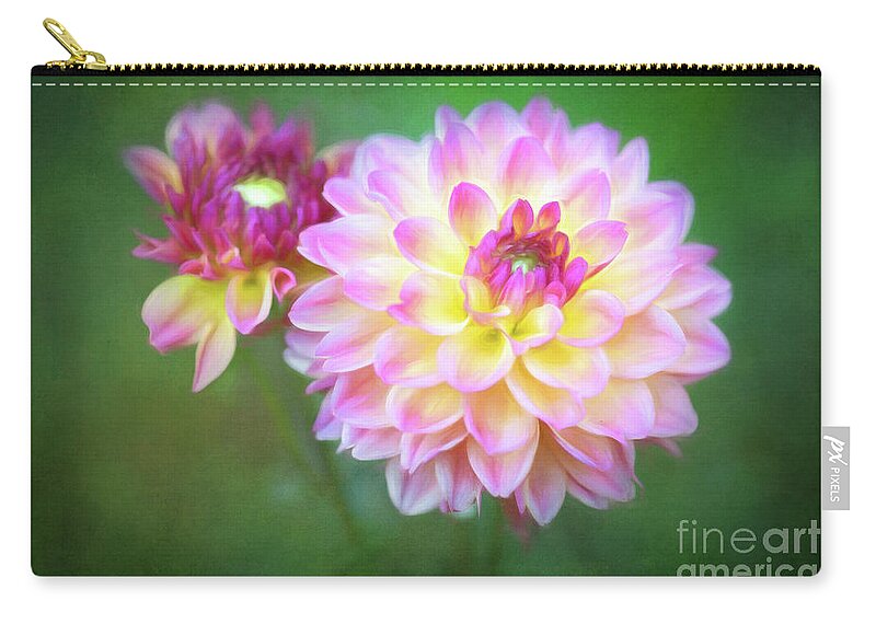 Dahlia Hypnotica Rose Bicolor Zip Pouch featuring the photograph Can I Get A Better Look? by Anita Pollak