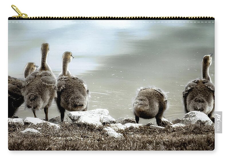 Canadian Geese Zip Pouch featuring the photograph Canadian Geese Series 1 by Darlene Kwiatkowski