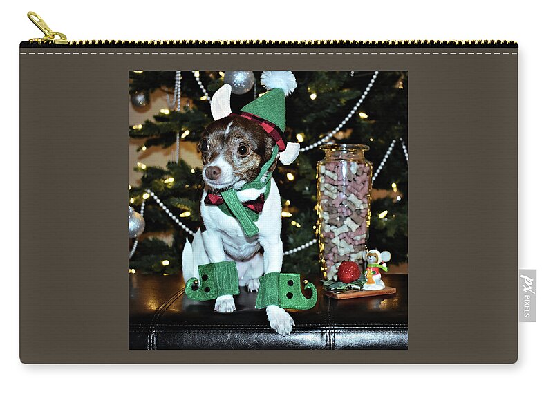 Dog Zip Pouch featuring the photograph Canine Elf Costume by Kathy K McClellan