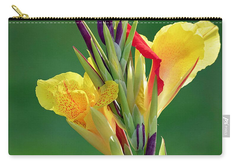 Blossom Carry-all Pouch featuring the photograph Canna Lily Blossom by Ron Grafe