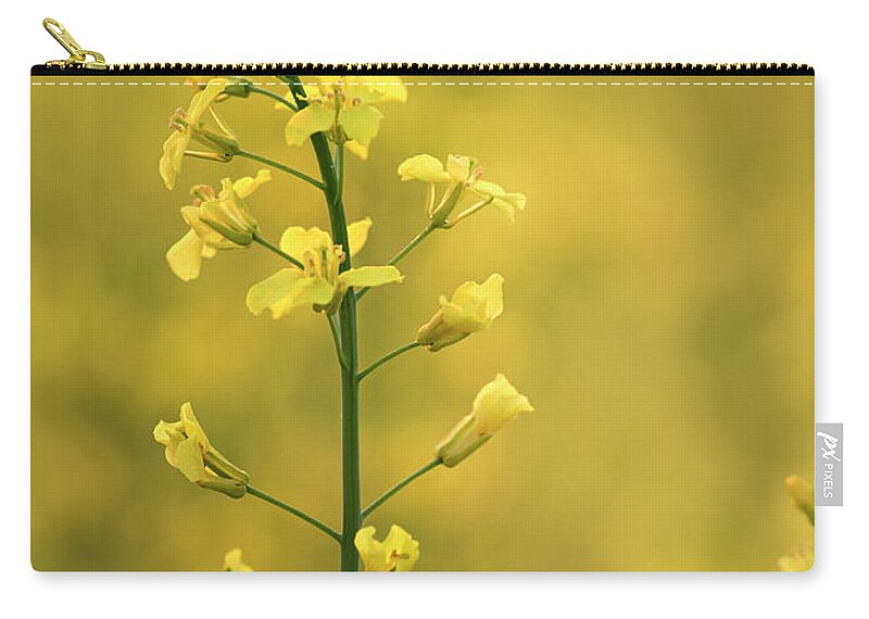 Canola Zip Pouch featuring the photograph Canola Flowers by Phil And Karen Rispin