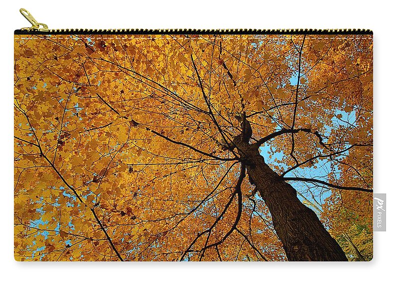 Autumn Leaves Carry-all Pouch featuring the photograph Canopy of Color by Mary Walchuck