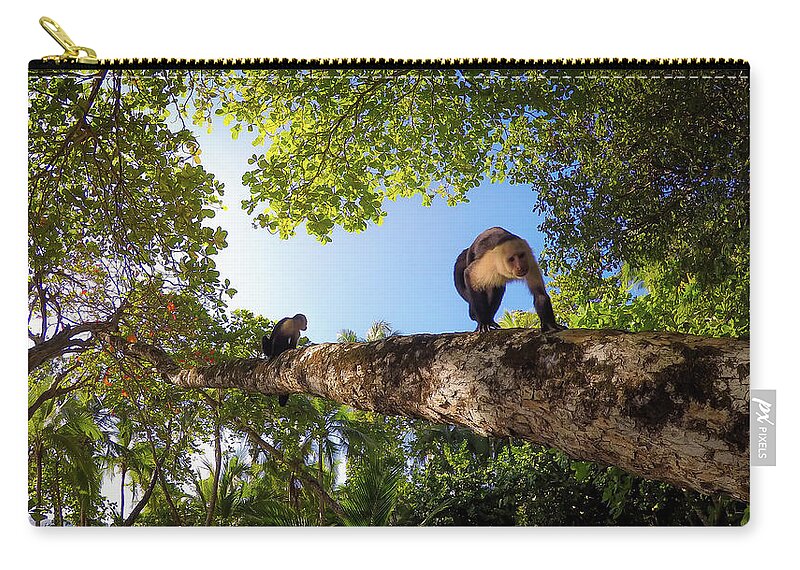 Monkey Zip Pouch featuring the photograph Capuchin Monkeys in Tropical Forest by Nicklas Gustafsson