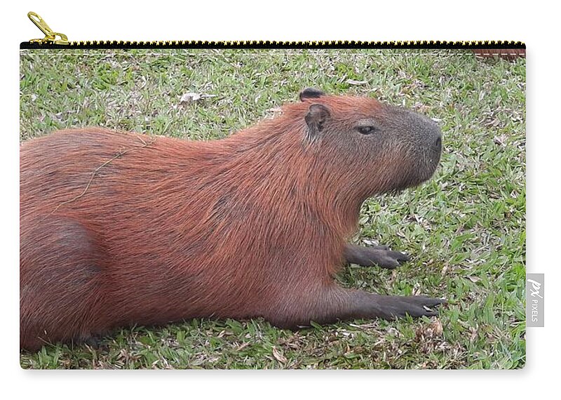 Capybara h3 Zip Pouch