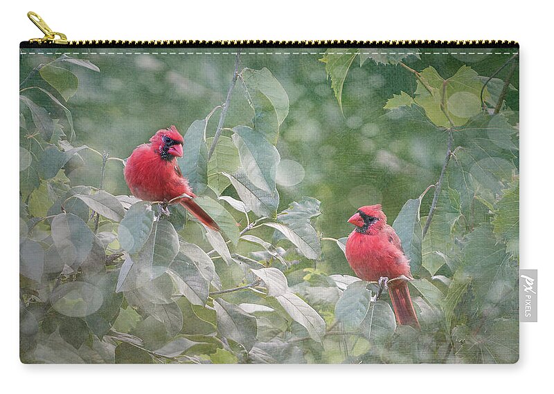 Cardinals Zip Pouch featuring the photograph Cardinal Connnection by Patti Deters