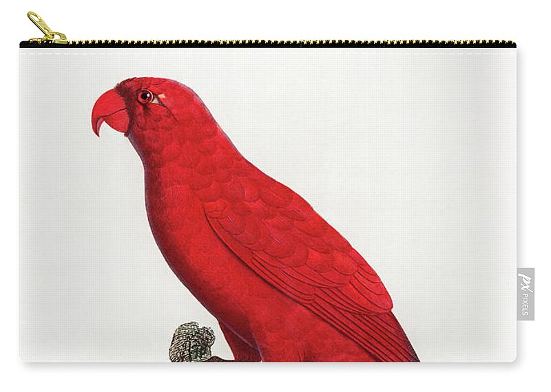 Cardinal Lory Zip Pouch featuring the mixed media Cardinal Lory by World Art Collective
