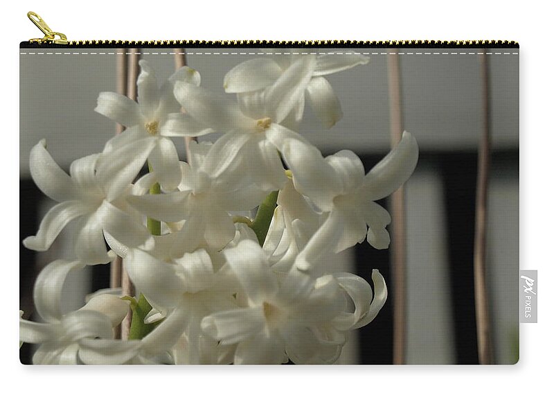 Hyacinth Zip Pouch featuring the photograph Carnegie Hyacinth - 4 by Jeffrey Peterson