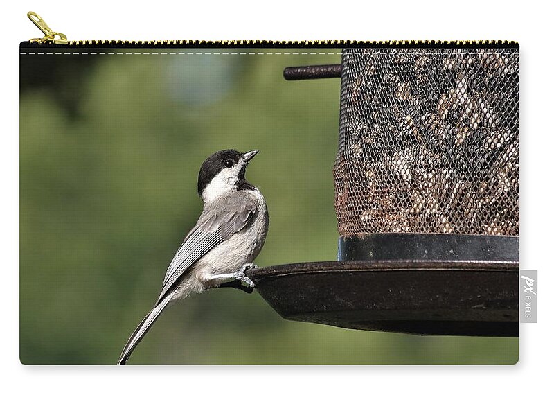 Nature Zip Pouch featuring the photograph Carolina Chickadee on Feeder by Sheila Brown